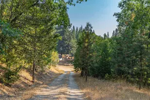 1620 Wells Fargo Station Rd, Mokelumne Hill, CA 95245 - Photo 4