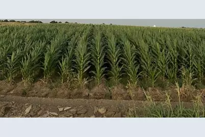 19366 S Lammers Road, Tracy, CA 95304 - Photo 1