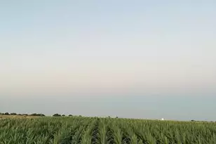 19366 S Lammers Rd, Tracy, CA 95304 - Photo 1