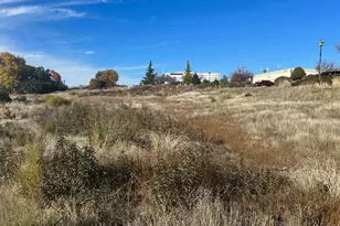 4220 Business Dr, Shingle Springs, CA 95682 - Photo 1