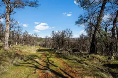 12463 Wolf Road, Nevada City, CA 95949 - Photo 10