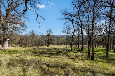 12463 Wolf Road, Nevada City, CA 95949 - Photo 12