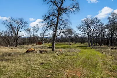 12463 Wolf Road, Nevada City, CA 95949 - Photo 8