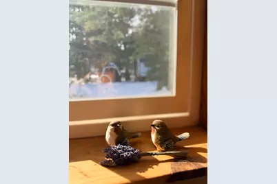 5580 Pony Express Trail, Camino, CA 95709 - Photo 8