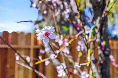 4312 Rosecreek Court, Sacramento, CA 95826 - Photo 28