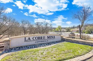 133 Palisades Pl, Copperopolis, CA 95228 - Photo 58