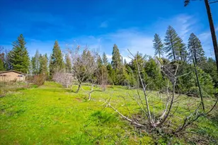 7021 Stope Ct, Placerville, CA 95667 - Photo 40