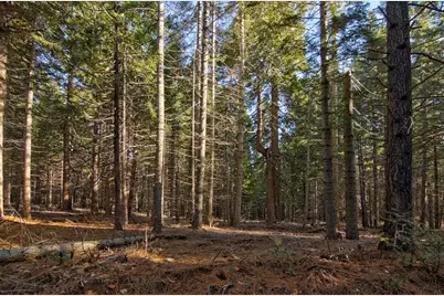 680 Sugar Pine Road, Alta, CA 95701 - Photo 2