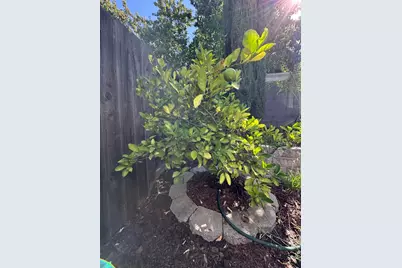 2209 Coryton Lane, Roseville, CA 95747 - Photo 22