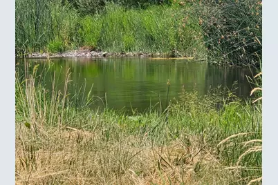 4204 State Highway 263, Yreka, CA 96097 - Photo 50