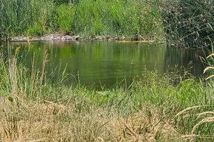 4204 State Hwy 263, Yreka, CA 96097 - Photo 50