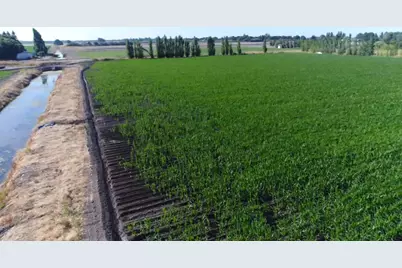 0 River Road, Courtland, CA 95615 - Photo 18