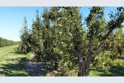 0 River Road, Courtland, CA 95615 - Photo 8