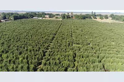 0 River Road, Courtland, CA 95615 - Photo 6