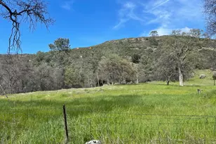 4223 Penon Blanco Rd, Coulterville, CA 95311 - Photo 2