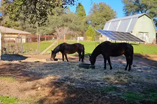 3080 Sand Ridge Rd, Placerville, CA 95667 - Photo 30