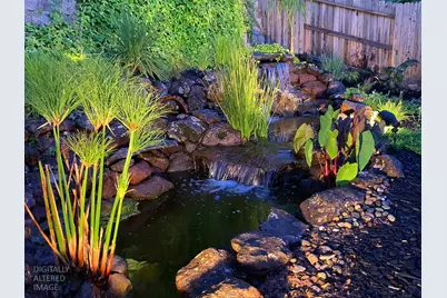 6556 Turnstone Way, Rocklin, CA 95765 - Photo 46