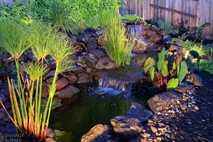 6556 Turnstone Way, Rocklin, CA 95765 - Photo 46