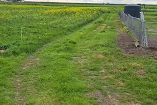 11315 Childs Ave, Le Grand, CA 95333 - Photo 16