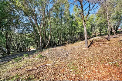 1 Cuckoo Court, Applegate, CA 95703 - Photo 14