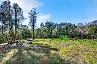 1 Cuckoo Court, Applegate, CA 95703 - Photo 6