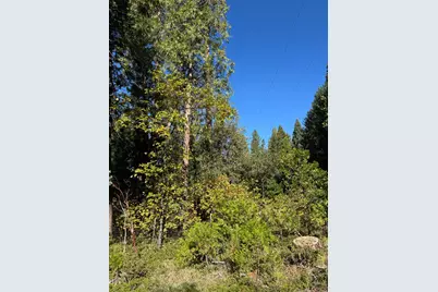 15855 Sunny Drive, Pioneer, CA 95666 - Photo 14