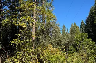 15855 Sunny Dr, Pioneer, CA 95666 - Photo 14