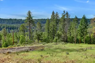 10973 Scotts Flat Dam Rd, Nevada City, CA 95959 - Photo 86
