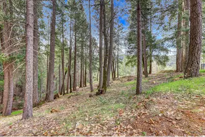 10973 Scotts Flat Dam Road, Nevada City, CA 95959 - Photo 84