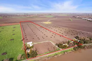 39670 S River Rd, Clarksburg, CA 95612 - Photo 6