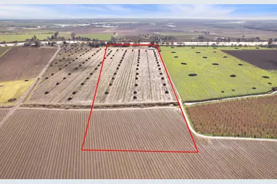 39670 S River Road, Clarksburg, CA 95612 - Photo 8