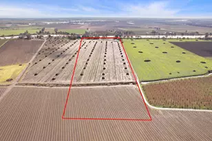 39670 S River Rd, Clarksburg, CA 95612 - Photo 8