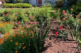 3710 Orchard Ln, Sacramento, CA 95821 - Photo 1