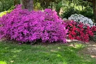 3710 Orchard Ln, Sacramento, CA 95821 - Photo 26