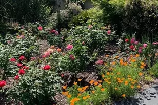 3710 Orchard Ln, Sacramento, CA 95821 - Photo 6