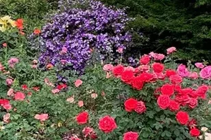 3710 Orchard Ln, Sacramento, CA 95821 - Photo 20