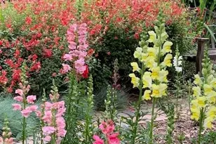 3710 Orchard Ln, Sacramento, CA 95821 - Photo 6