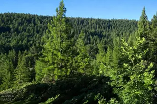 0 Lee Rd, Quincy, CA 95971 - Photo 1