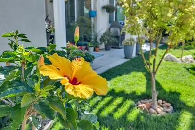 12737 Seahaven Way, Rancho Cordova, CA 95742 - Photo 68