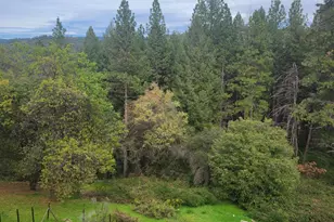 3417 Secret Lake Trail, Cool, CA 95614 - Photo 40