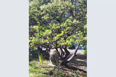 3417 Secret Lake Trail, Cool, CA 95614 - Photo 4