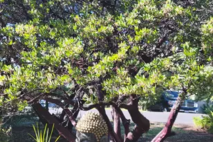 3417 Secret Lake Trail, Cool, CA 95614 - Photo 4