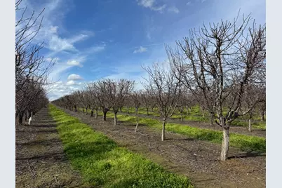 6722 Bryden Road, Marysville, CA 95901 - Photo 6