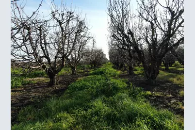 5954 E Hogan, Lodi, CA 95240 - Photo 12