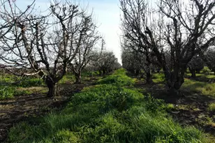 5954 E Hogan, Lodi, CA 95240 - Photo 12