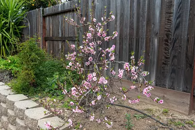 1800 Ambridge Drive, Roseville, CA 95747 - Photo 42