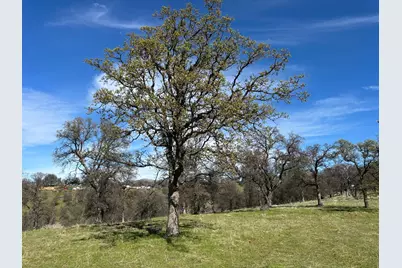 0 Avacado Avenue, Bangor, CA 95914 - Photo 14