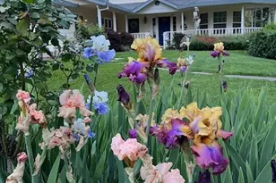 9240 Rock Springs Rd, Newcastle, CA 95658 - Photo 68