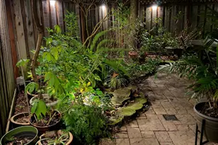 7535 Pheasant Hlw Pl, Citrus Heights, CA 95610 - Photo 38