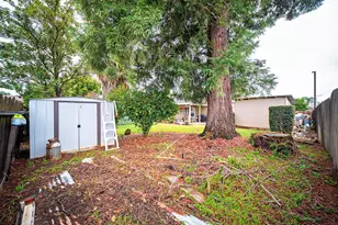 1695 Tamarack Dr, Yuba City, CA 95991 - Photo 20